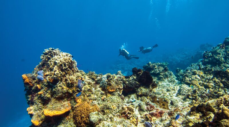 Diving Into The Blue Underwater Adventures In Southeast Asia